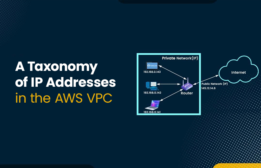 A Taxonomy of IP Addresses in the AWS VPC